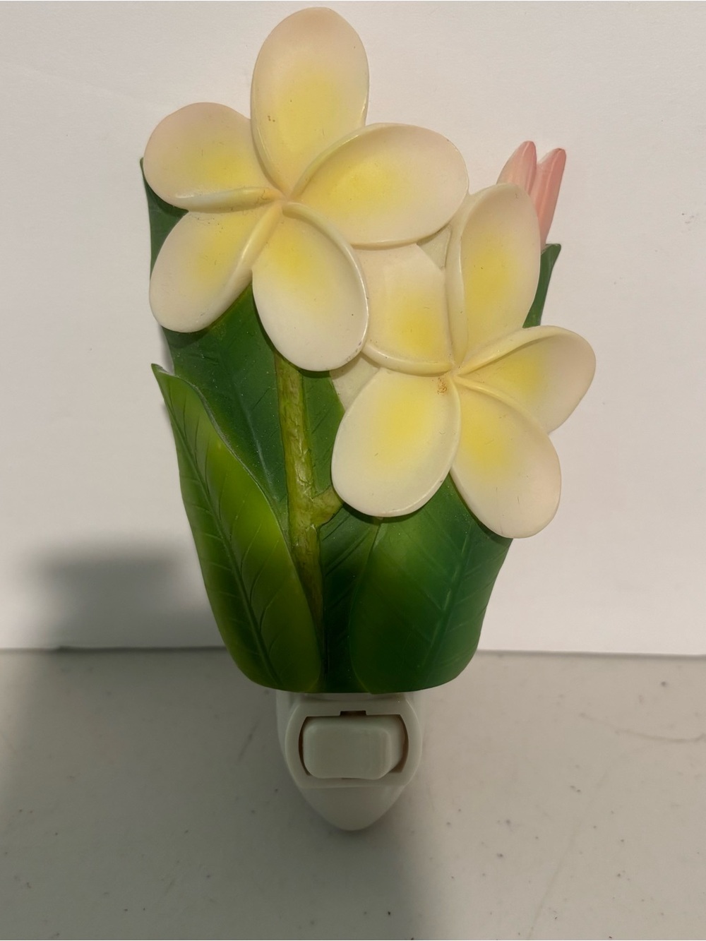 Night light. Flowers. Works. Used
